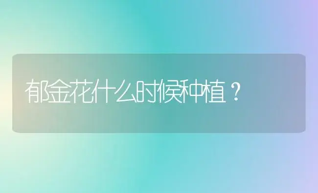 郁金花什么时候种植？ | 绿植常识