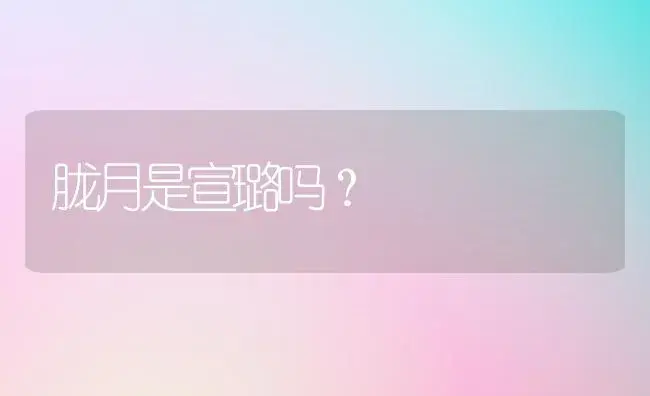 胧月是宣璐吗？ | 多肉养殖