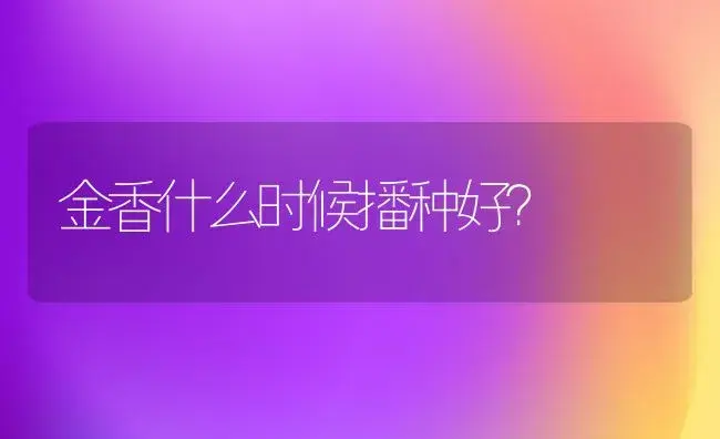 金香什么时候播种好？ | 绿植常识