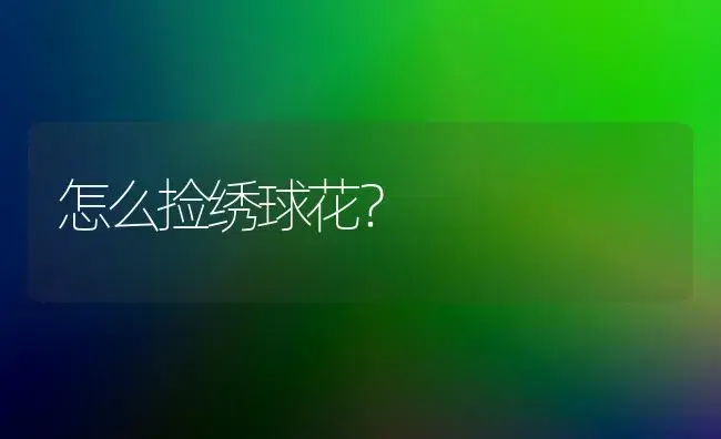 怎么捡绣球花？ | 绿植常识