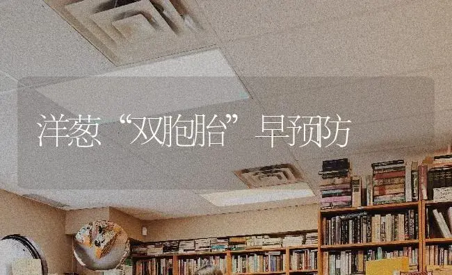 洋葱“双胞胎”早预防 | 特种种植