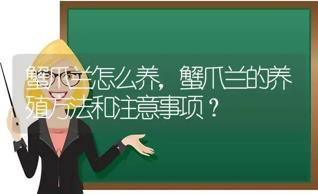 蟹爪兰怎么养,蟹爪兰的养殖方法和注意事项？ | 多肉养殖