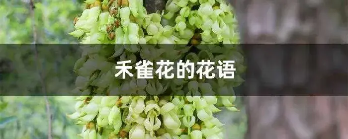 禾雀花的花语