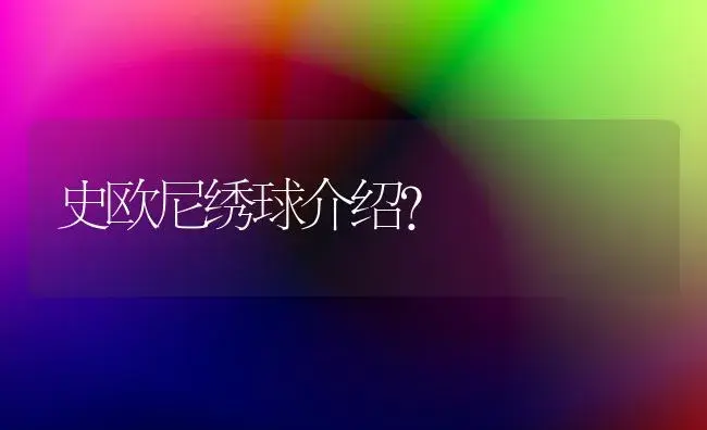 史欧尼绣球介绍？ | 绿植常识