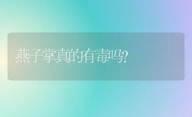 燕子掌真的有毒吗？ | 多肉养殖