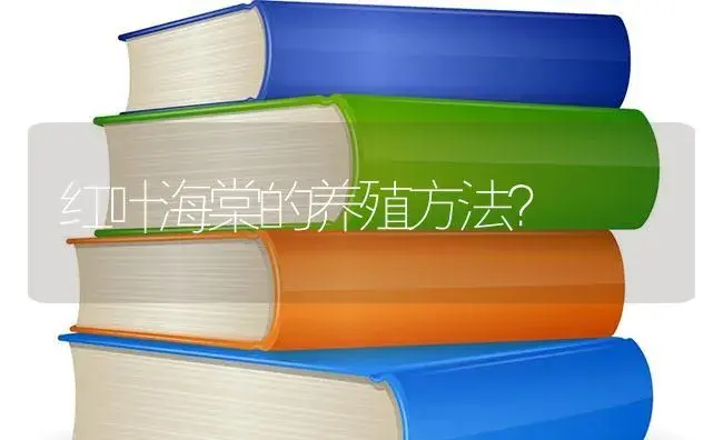 红叶海棠的养殖方法？ | 绿植常识