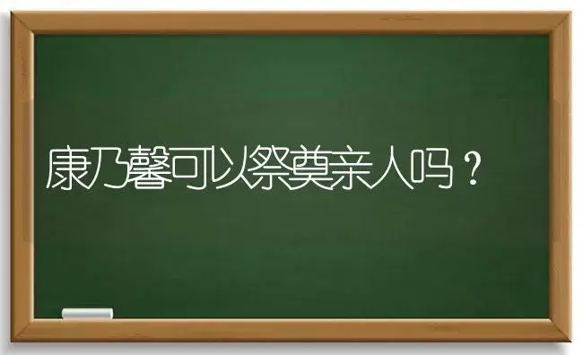 康乃馨可以祭奠亲人吗？ | 绿植常识