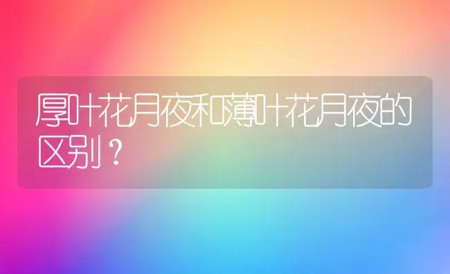 厚叶花月夜和薄叶花月夜的区别？ | 多肉养殖