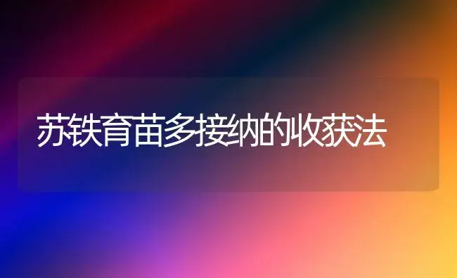 苏铁育苗多接纳的收获法 | 家庭养花