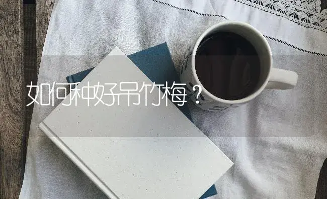 如何种好吊竹梅？ | 特种种植