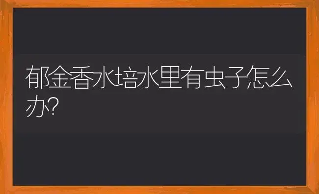 郁金香水培水里有虫子怎么办？ | 绿植常识