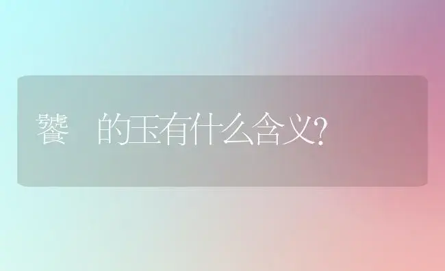 饕鬄的玉有什么含义？ | 多肉养殖