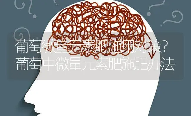 葡萄微量元素肥施用对策？葡萄中微量元素肥施肥办法 | 果木种植