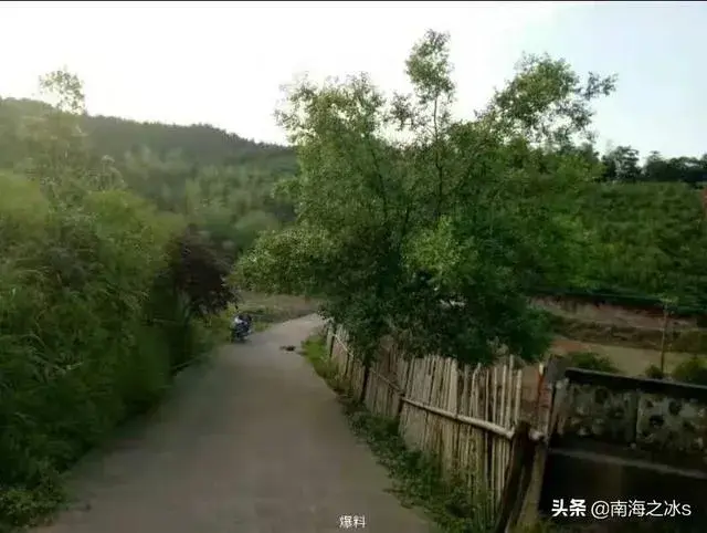 农村门前适合种什么花？