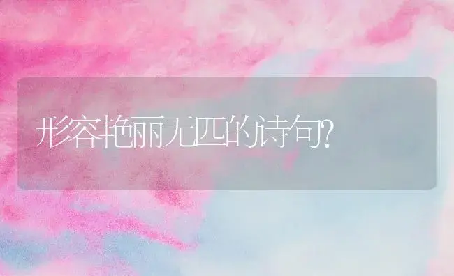 形容艳丽无匹的诗句？ | 绿植常识