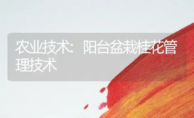 农业技术:阳台盆栽桂花管理技术 | 家庭养花