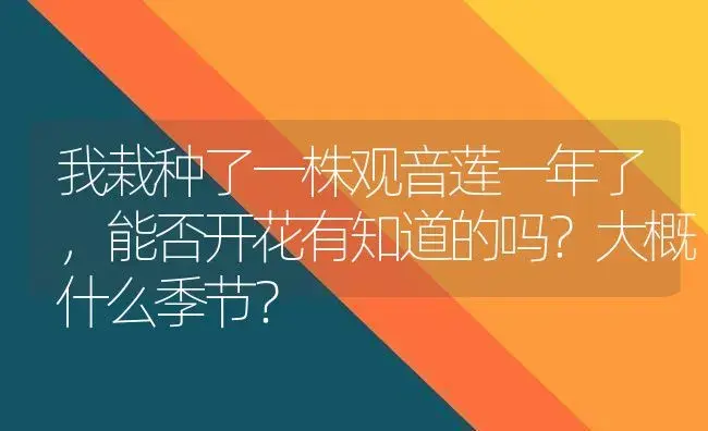 我栽种了一株观音莲一年了,能否开花有知道的吗？大概什么季节？ | 多肉养殖