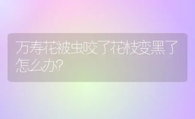 万寿花被虫咬了花枝变黑了怎么办？ | 多肉养殖