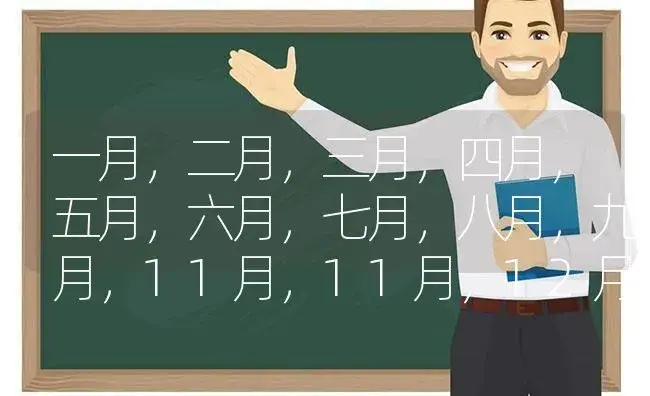 一月，二月，三月，四月，五月，六月，七月，八月，九月，11月，11月，12月开的，都什么花？ | 绿植常识