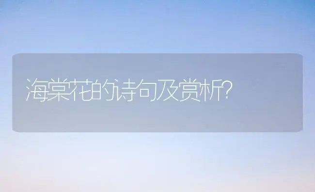 什么是冷水仙茶？ | 绿植常识