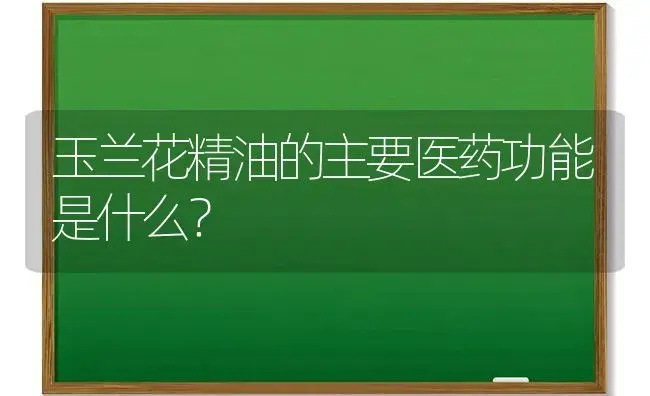 玉兰花精油的主要医药功能是什么？ | 绿植常识