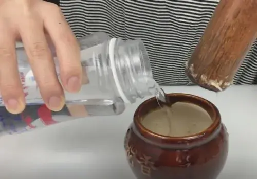 盆景知识 | 大蒜养花起什么作用