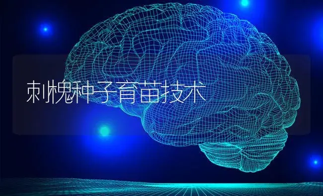 刺槐种子育苗技术 | 特种种植