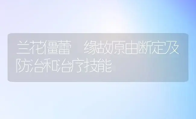 兰花僵蕾 缘故原由断定及防治和治疗技能 | 家庭养花