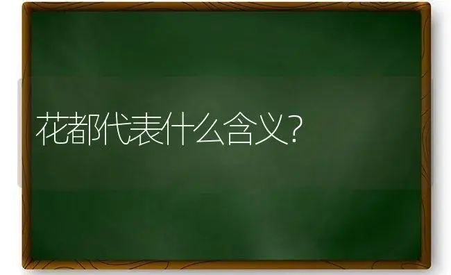 花都代表什么含义？ | 绿植常识