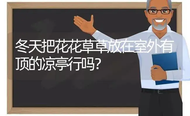 冬天把花花草草放在室外有顶的凉亭行吗？ | 绿植常识