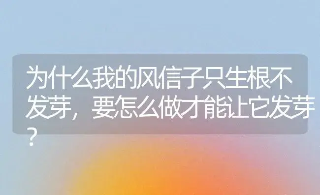 为什么我的风信子只生根不发芽，要怎么做才能让它发芽？ | 绿植常识