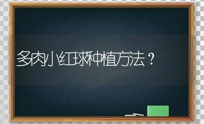 多肉小红球种植方法？ | 多肉养殖