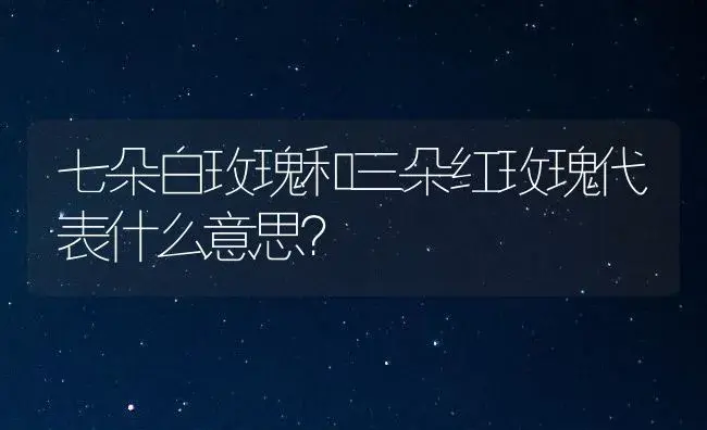 七朵白玫瑰和三朵红玫瑰代表什么意思？ | 绿植常识