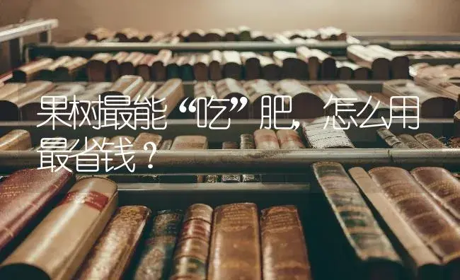 果树最能“吃”肥，怎么用最省钱？ | 果木种植