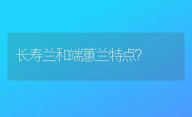 长寿兰和端蕙兰特点？ | 多肉养殖