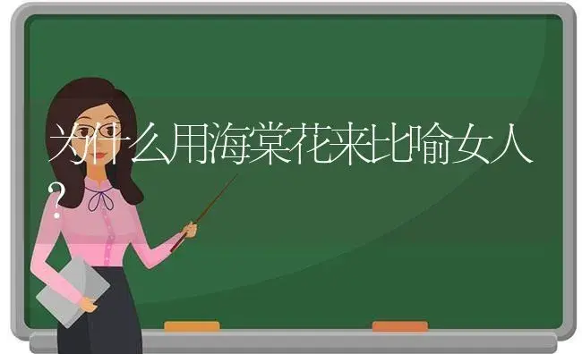 为什么用海棠花来比喻女人？ | 绿植常识