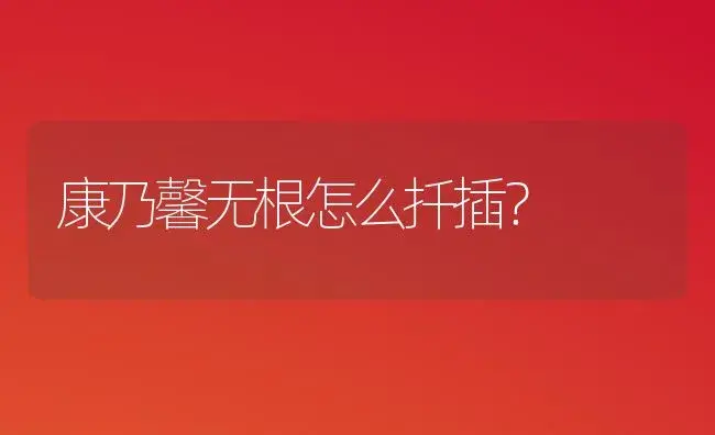 康乃馨无根怎么扦插？ | 绿植常识