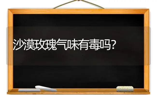 沙漠玫瑰气味有毒吗？ | 绿植常识