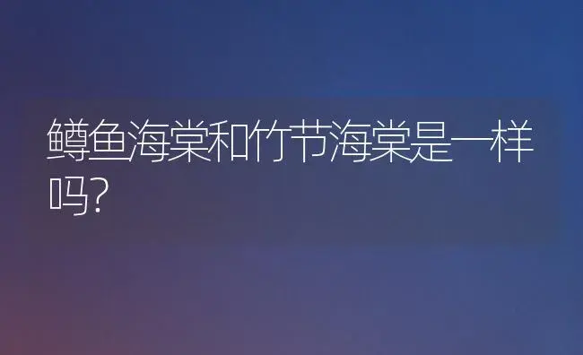 鳟鱼海棠和竹节海棠是一样吗？ | 绿植常识