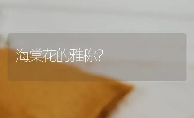 海棠花的雅称？ | 绿植常识