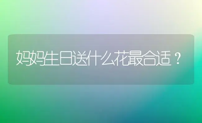 妈妈生日送什么花最合适？ | 绿植常识