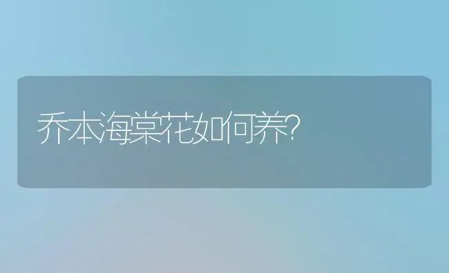 纱织绣球花的养殖方法和注意事项？ | 绿植常识