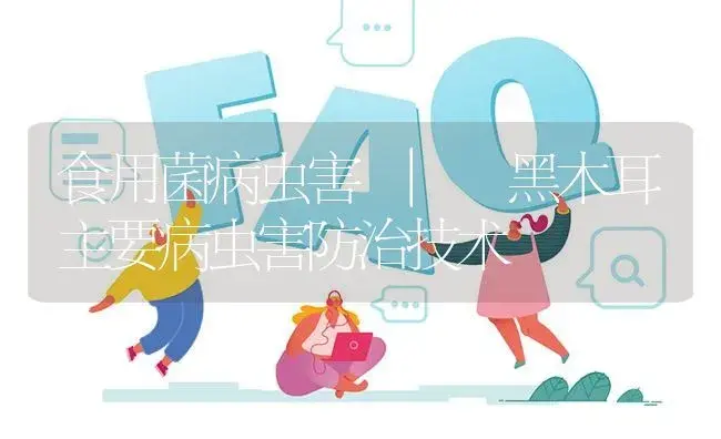 黑木耳主要病虫害防治技术 | 菌菇种植