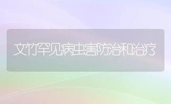 文竹罕见病虫害防治和治疗 | 家庭养花