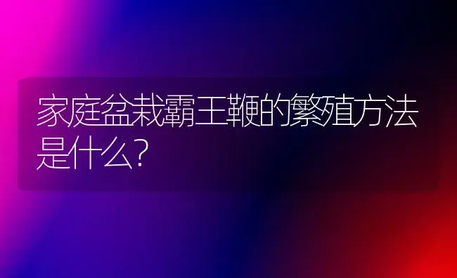 家庭盆栽霸王鞭的繁殖方法是什么？ | 多肉养殖
