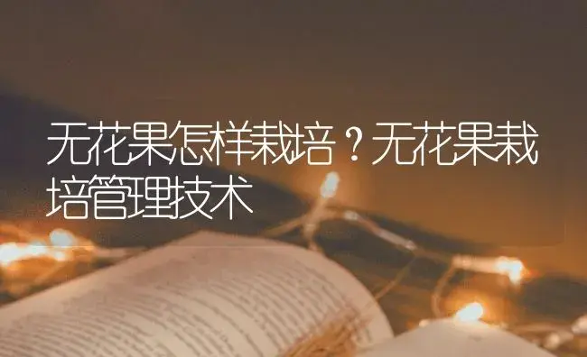 无花果怎样栽培？无花果栽培管理技术 | 果木种植