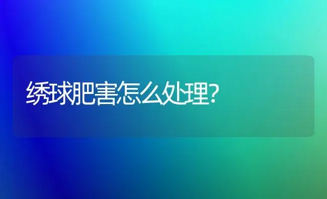 绣球肥害怎么处理？ | 绿植常识