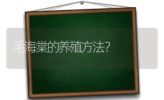 毛海棠的养殖方法？ | 绿植常识