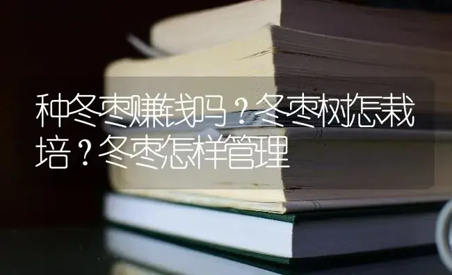 种冬枣赚钱吗？冬枣树怎栽培？冬枣怎样管理 | 果木种植