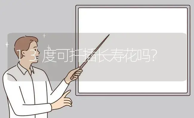 13度可扦插长寿花吗？ | 多肉养殖